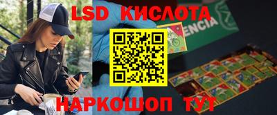 индика Аргун