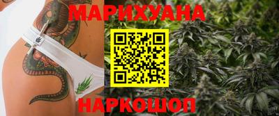 индика Аргун